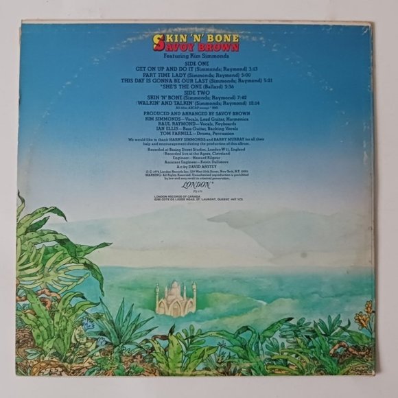Vintage Savoy Brown Skin 'N' Bone vinyl record, 1976 first pressing, original - Picture 3 of 10